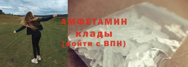 сатива Кулебаки