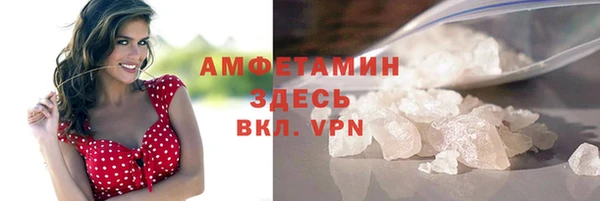 сатива Кулебаки