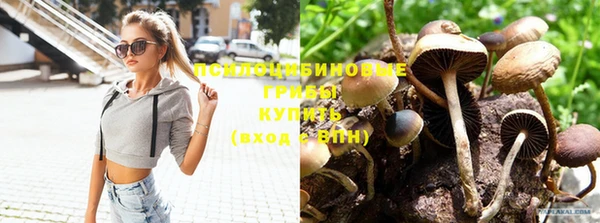 героин Кукмор