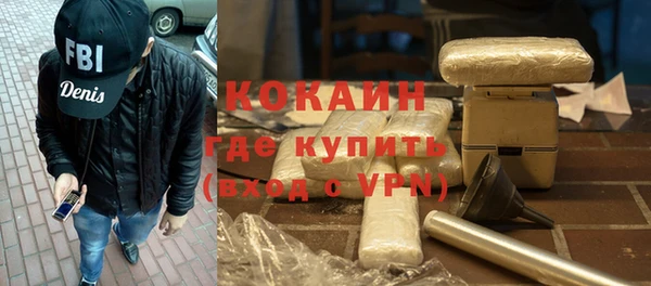 сатива Кулебаки