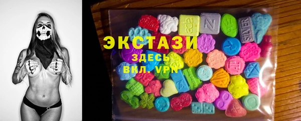 сатива Кулебаки