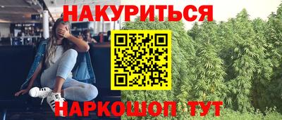 стафф Камышлов