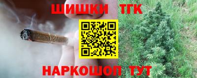 стафф Камышлов