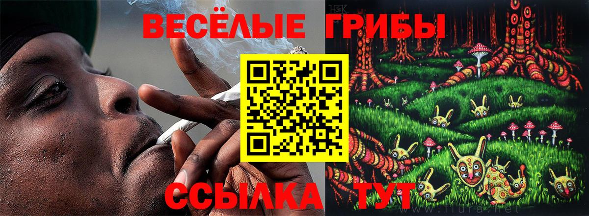 Псилоцибиновые грибы Cubensis Куйбышев