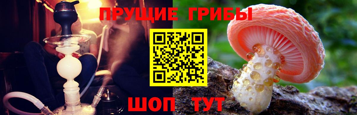 Псилоцибиновые грибы Cubensis  Псилоцибиновые грибы Cubensis  Вход с VPN  Куйбышев 